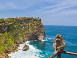 things to do in Uluwatu